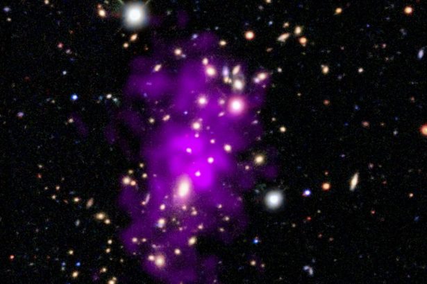 Cheers! NASA Rings in the New Year with Sparkling ‘Champagne Cluster’ Image