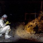 Chernobyl’s Shield Guarding Radioactive “Elephant’s Foot” Has Been Damaged for Months