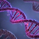 Chronic fatigue syndrome seems to have a very strong genetic element