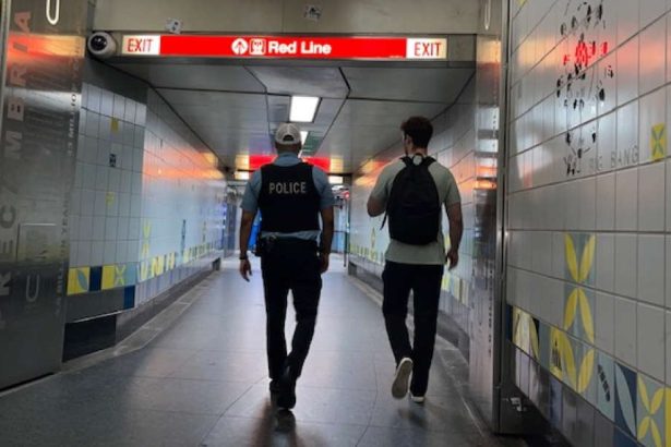 City to boost CTA security with new surge of cops, security teams