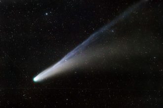 Comets were on fire this year – for better or worse