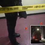 Connecticut boy, 15, killed and another teen wounded in NYC public housing shooting: cops