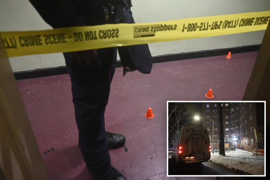 Connecticut boy, 15, killed and another teen wounded in NYC public housing shooting: cops