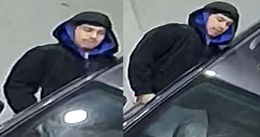 Cops looking for man who fired shots in Belmont Cragin