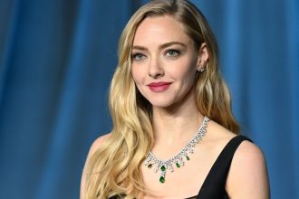 Copy Amanda Seyfried’s Designer Bag Look for ,000+ Less