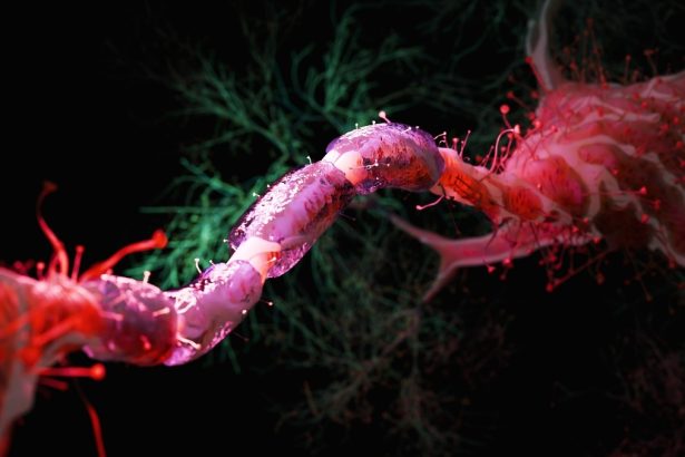 Cutting Calories by 30% May Be Enough to Shield Brain Against Aging : ScienceAlert