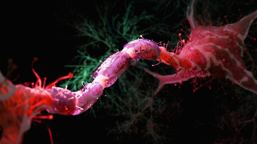 Cutting Calories by 30% May Be Enough to Shield Brain Against Aging : ScienceAlert