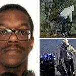 DC pipe bomb suspect admits to planting devices outside DNC, RNC: sources