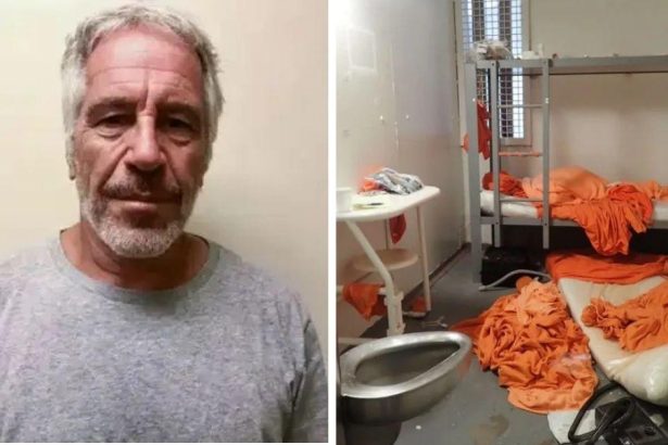 DOJ Releases Fake Video of Epstein Appearing to Attempt Suicide