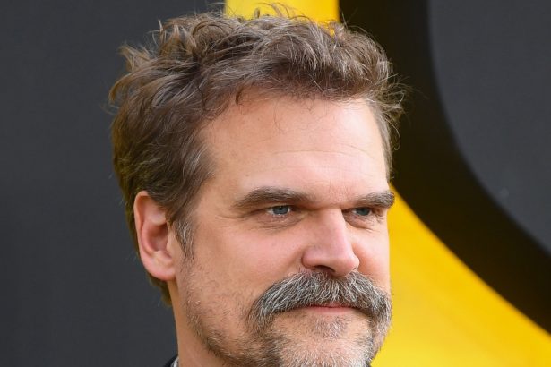 David Harbour Takes a Guy’s Hat in Bizarre Bar Incident