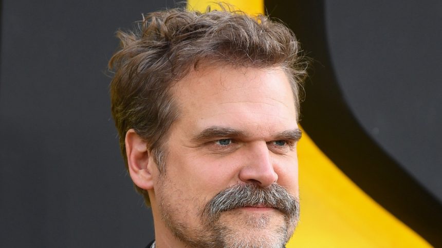 David Harbour Takes a Guy’s Hat in Bizarre Bar Incident