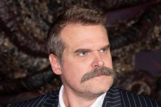David Harbour Will Not Attend ‘Stranger Things’ Finale Event