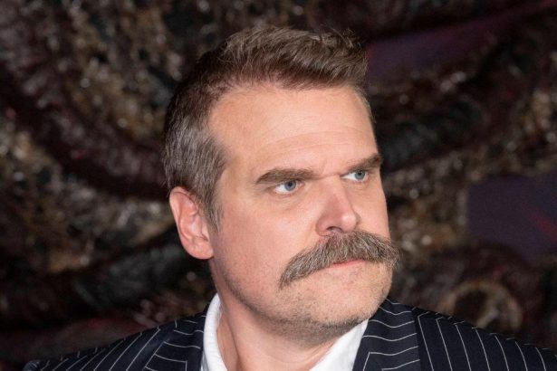 David Harbour Will Not Attend ‘Stranger Things’ Finale Event
