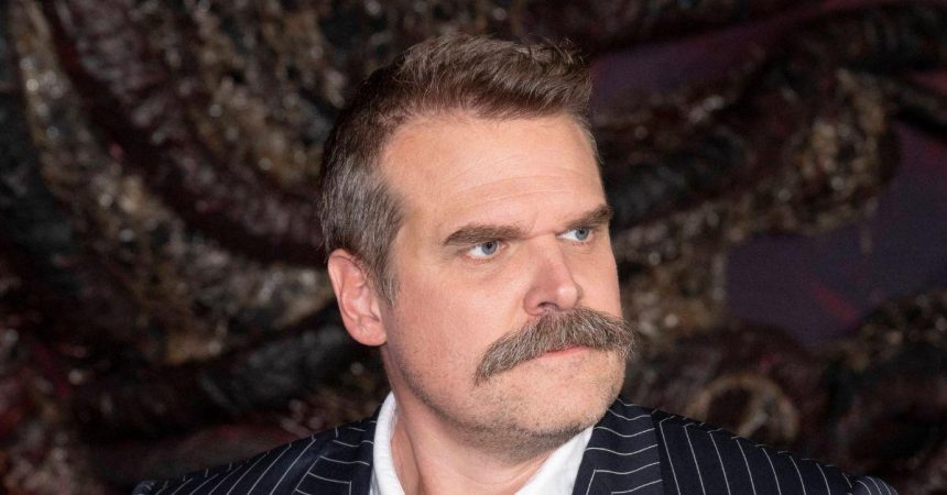 David Harbour Will Not Attend ‘Stranger Things’ Finale Event