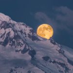 December’s Full Supermoon Rises Under Ideal Photography Conditions : ScienceAlert