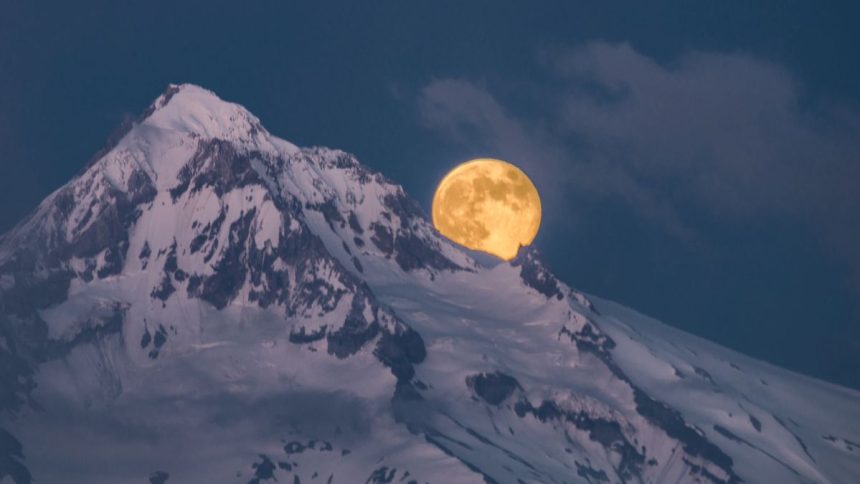 December’s Full Supermoon Rises Under Ideal Photography Conditions : ScienceAlert