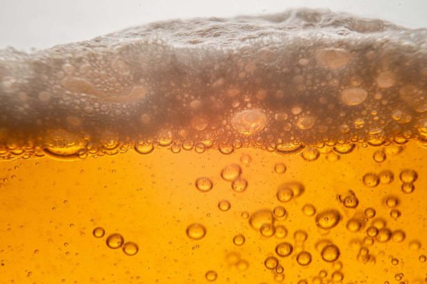 Did ancient humans start farming so they could drink more beer?
