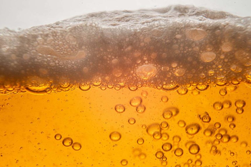 Did ancient humans start farming so they could drink more beer?