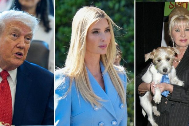 Donald, Ivanka And Ivana Trump Are Listed In Epstein’s Contact Book