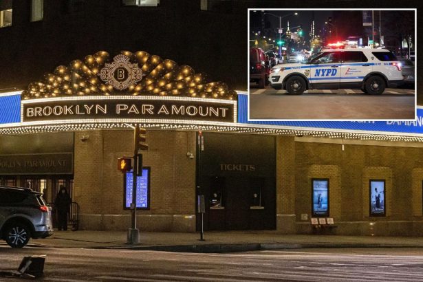 Exclusive | Crafty pickpockets swipe dozens of more phones from NYC music venues