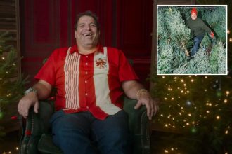 Exclusive | Forget the mafia — cutthroat Christmas tree sellers endure NYC’s real turf battles