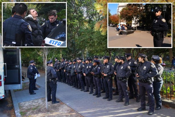 Exclusive | Washington Square Park crime fell 65% since NYPD 24/7 crackdown on dealers, junkies