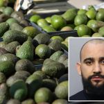 Florida man allegedly steals 400 pounds of avocados to buy Christmas presents for children