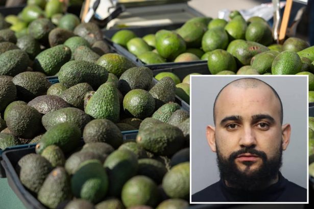 Florida man allegedly steals 400 pounds of avocados to buy Christmas presents for children
