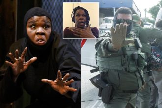 Former ‘SNL’ star Leslie Jones wants Democrats to jail ICE agents if they take back Congress after midterm elections