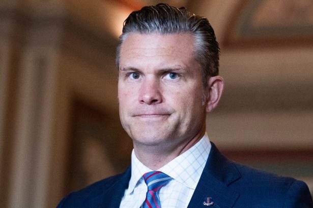 ‘Franklin’ Publisher Condemns Hegseth Meme Featuring Beloved Turtle