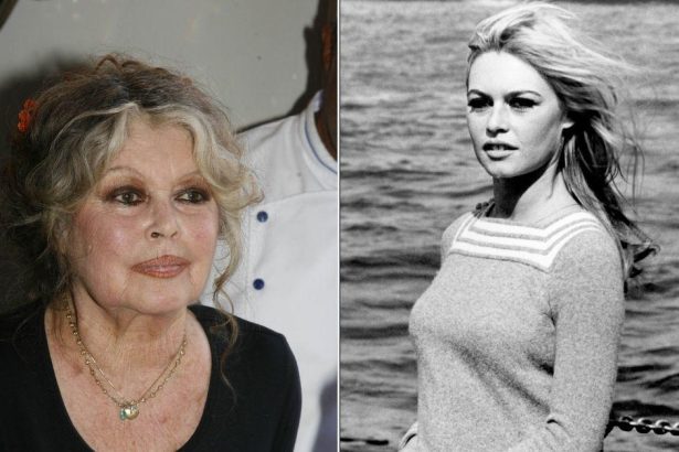 French Film Icon Turned Animal Crusader Brigitte Bardot Dead at 91