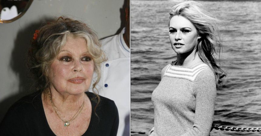 French Film Icon Turned Animal Crusader Brigitte Bardot Dead at 91