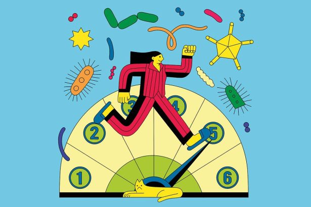 From mindset to microbiome, exercise and diet, here’s how to upgrade your immune system