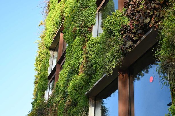 Guest Idea: Sustainable Construction and the Future of Infrastructure