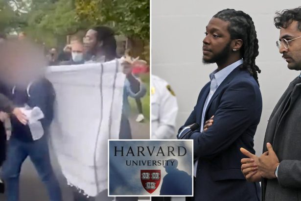Harvard hires Divinity School graduate Elom Tettey-Tamaklo who faced assault charges against an Israeli student at a protest