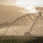 High Court warns ECan warned over discharges