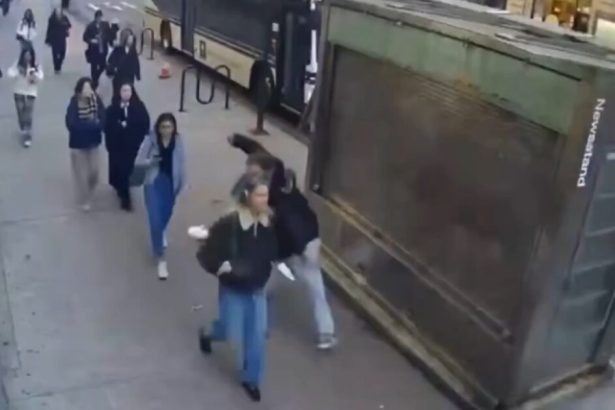 Homeless Career Criminal with History of Assaulting Women Arrested for Slapping NYU Student, Pulling Her Hair (VIDEO) |