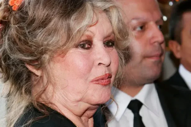How Brigitte Bardot Is Dividing Up M Fortune After Death