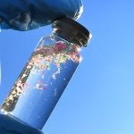 How Much Microplastic Can Kill Ocean Life?