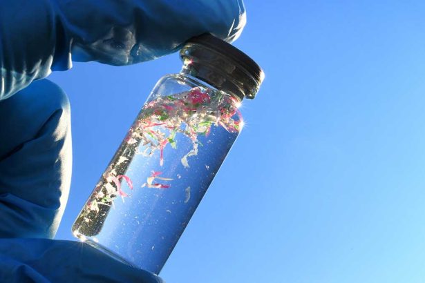 How Much Microplastic Can Kill Ocean Life?