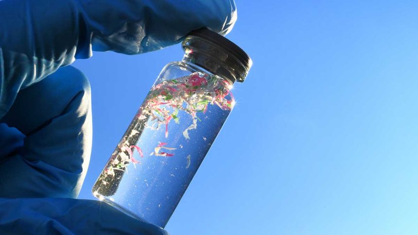 How Much Microplastic Can Kill Ocean Life?