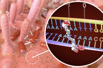 How a bacterial toxin linked to colon cancer messes with DNA