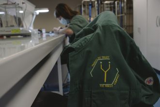 How reality crushed Ÿnsect, the French startup that had raised over 0M for insect farming