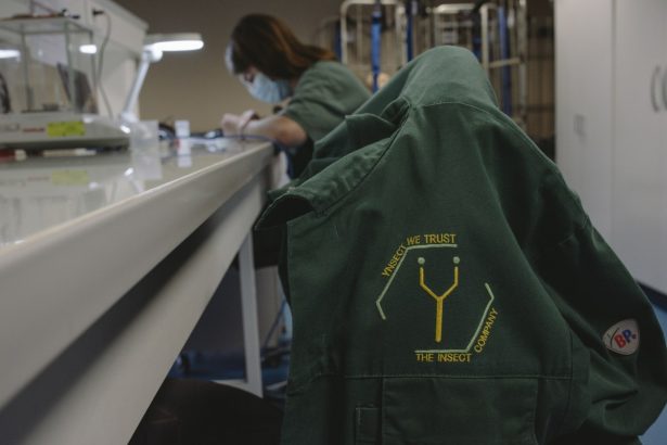 How reality crushed Ÿnsect, the French startup that had raised over 0M for insect farming