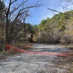 How the Trump administration is fast-tracking logging in national forests