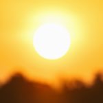 How the planet fared in 2025 — the good, the bad, and the ugly