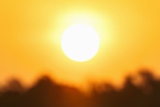 How the planet fared in 2025 — the good, the bad, and the ugly