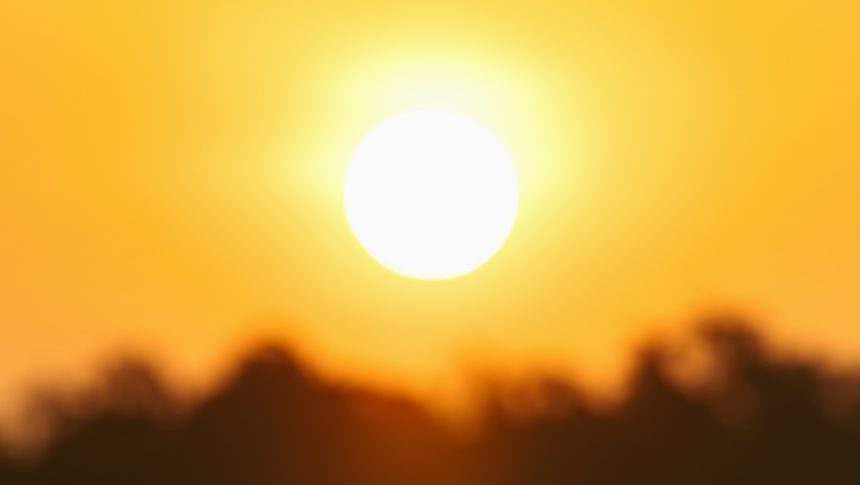 How the planet fared in 2025 — the good, the bad, and the ugly