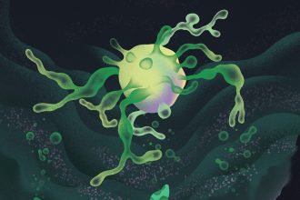 How these strange cells may explain the origin of complex life