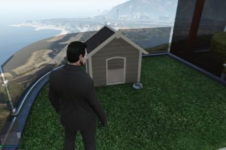 How to get dogs in GTA Online A Safehouse in the Hills update